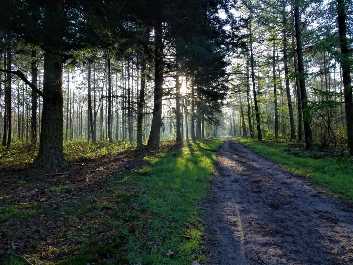 Veluwe Park Reewold Chalet Talisman Пюттен Экстерьер фото